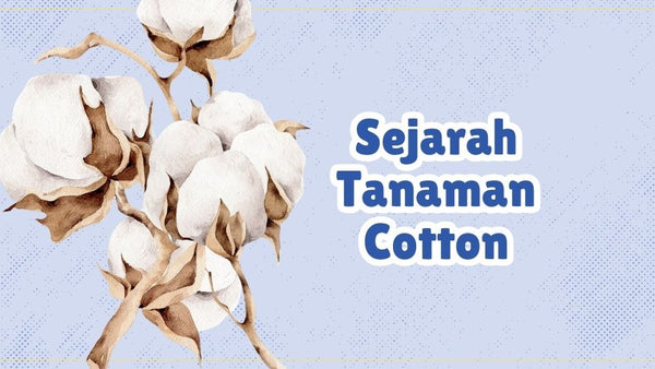 Sejarah Tanaman Cotton: Dari Alam ke Kain Favorit KawanSAM